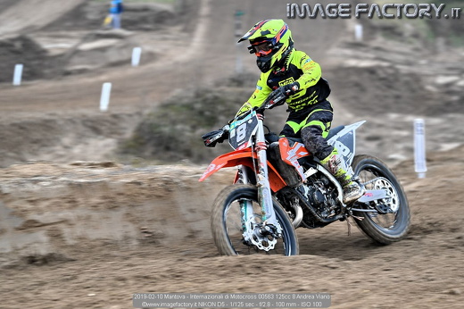 2019-02-10 Mantova - Internazionali di Motocross 00563 125cc 8 Andrea Viano
